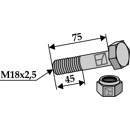 Sechskantschraube M18x2,5x75 mit Sicherungsmutter