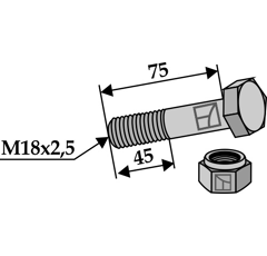 Schraube M18x2,5 x 75 für Mulcher Nachbau  