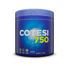 Pressengarn COTESI 750 – 10 kg Spule