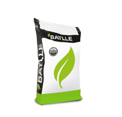 Triticale - Titinio - R1