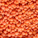 Braune Linse - Rosana