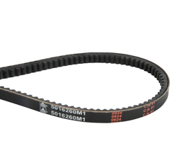Courroie de ventilateur pour tracteur MASSEY FERGUSON 3809174M1| 5016260M1 adaptable