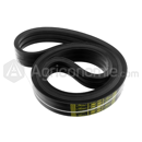 Courroie trapezoidale multiple pour moissonneuse CLAAS  D41990066 adaptable