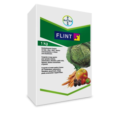 Flint | Fungizid