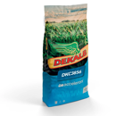 Maïs grain 280 - DKC3856