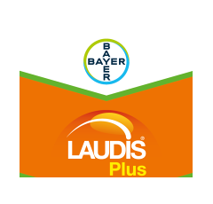 Laudis Plus  | 	Herbizid
