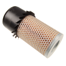 MANN  Luftfiltereinsatz C14179X