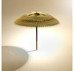 KWS Emphor BIO - Hybrider Winterroggen