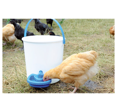 Abreuvoir maxi cup multifonction de 0,5 L - HORIZONT