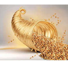 Blé tendre d'hiver - RGT Profusio