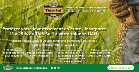 202604_TESSENDERLO_CULTURES