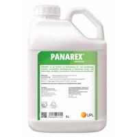 Panarex