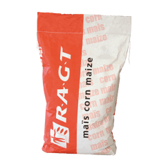 Maïs grain 380 - RGT Specixx