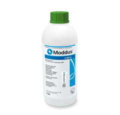 Moddus I Wachstumsregler