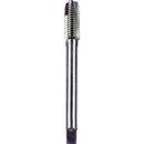 Taraud machine HSS entrée gun 8x125 mm | RISS