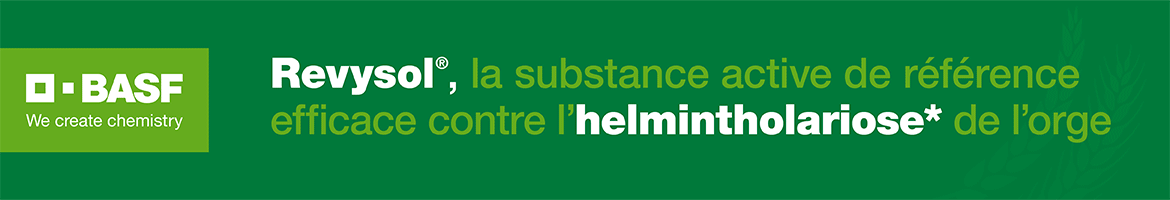 BASF_ORGE_122025