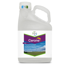 Cerone® 660 I Wachstumsregler