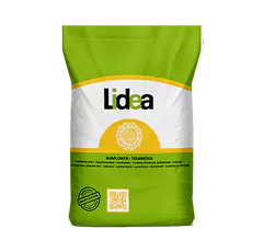 Tournesol linoléique demi-précoce - ES Lena - BIO