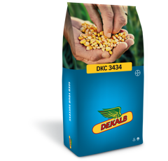 Saatmais - DKC3434 (S240 K240) DEKALB