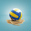 KWS Serafino BIO - Hybrider Winterroggen