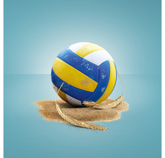 KWS Serafino BIO - Hybrider Winterroggen