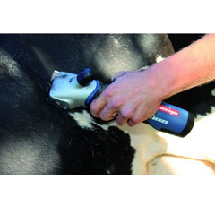 Tondeuse bovin xplorer sans fil - HEINIGER