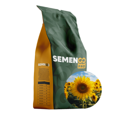 Tournesol linoléique précoce - Filladelfia