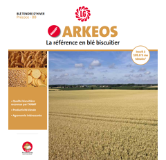 Blé tendre d'hiver - Arkeos