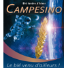 Blé tendre d'hiver - Campesino