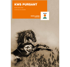 Avoine noire d'hiver - KWS Pursant - BIO