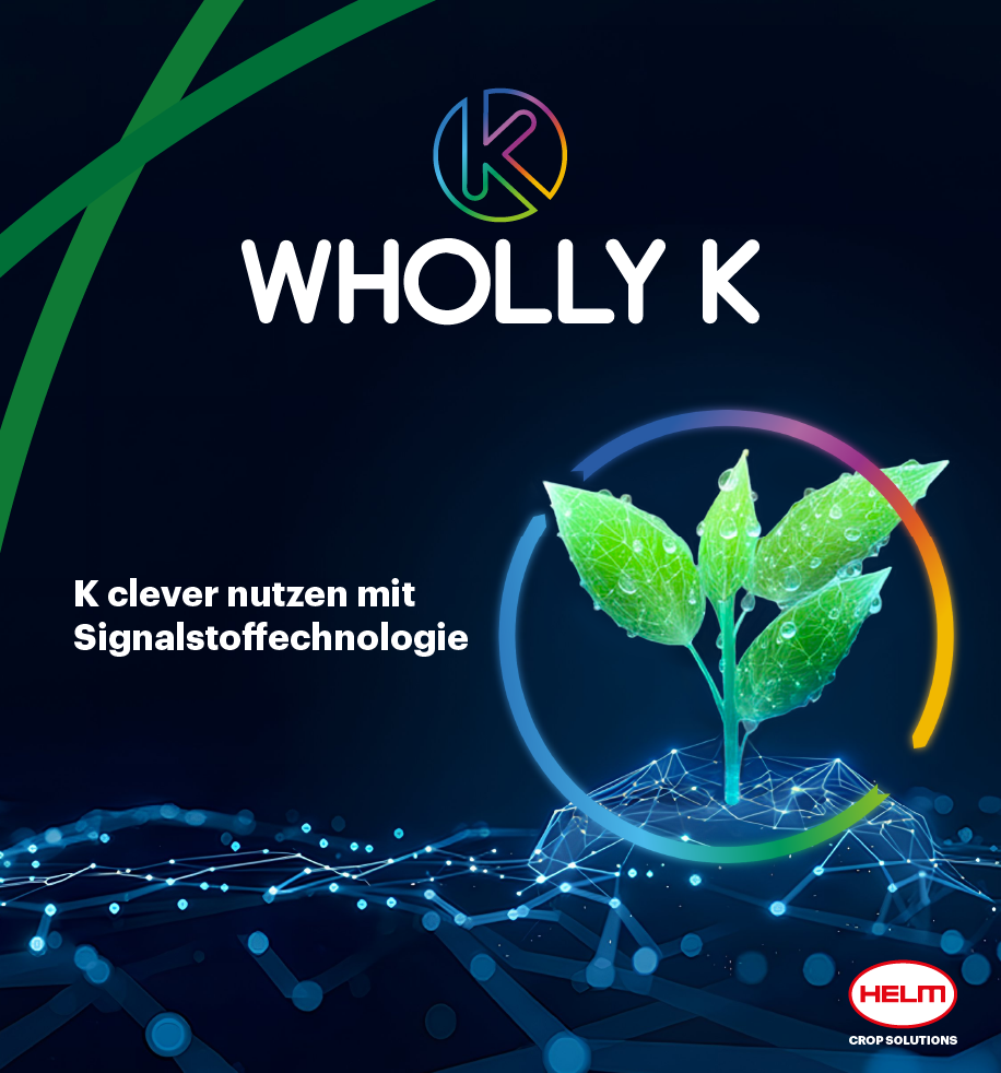 202603-HELM-DISPLAY-FULL-SITE