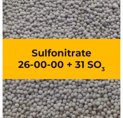 Sulfonitrate 26-00-00 + 31 SO3