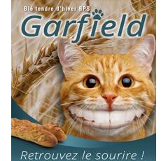 Blé tendre d'hiver - Garfield