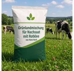 Grünlandmischung für Nachsaat mit Rotklee von Hans Koch