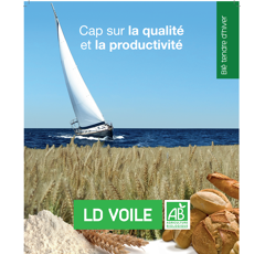 Blé tendre d'hiver - LD Voile - BIO