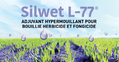 DESANGOSSE_SILWET_102025