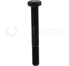 Boulon M12x1,75 x 100 pour broyeur FERRI adaptable 