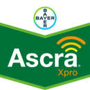 Ascra Xpro | Systemisches-Fungizid