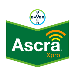 Ascra Xpro | Systemisches-Fungizid