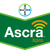 Ascra Xpro | Systemisches-Fungizid