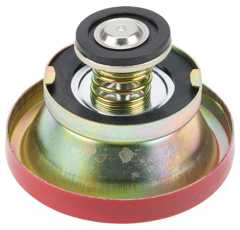 Bouchon de radiateur pour tracteur MASSEY FERGUSON 1874445M93 adaptable