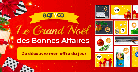 AGRICO_ALL_grandjeudenoel_011225