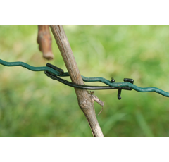 REMA - Rebstar Big - verschiedene Packungsgrößen