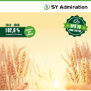 Blé tendre d'hiver - SY Admiration