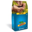 DMH 591 | Hybrider Winterraps