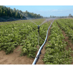 Tête micro-asperseur MEGANET 15° 200 à 750L/h 1/2" mâle - NETAFIM