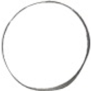 Couteau Y pour broyeur HOWARD 222022425 adaptable - Blacksteel©