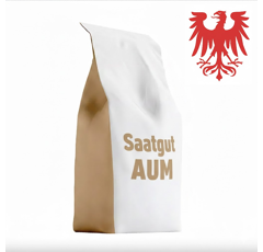 Blühmischung mehrjährig frisch - Berlin/Brandenburg