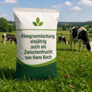 Kleegrasmischung einjährig auch als Zwischenfrucht von Hans Koch