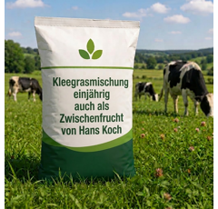 Kleegrasmischung einjährig auch als Zwischenfrucht von Hans Koch